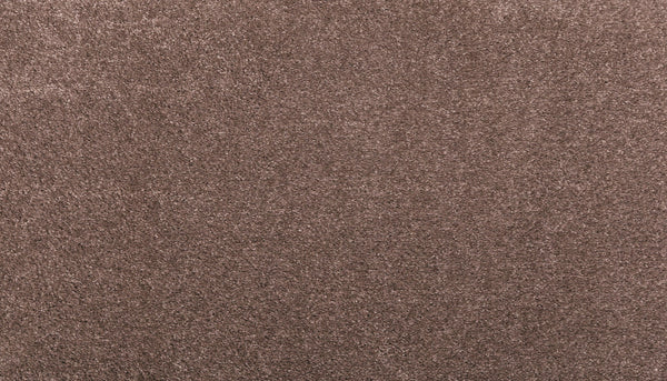 Close-up of Noble Surface Pet Friendly Carpet in Chocolate Chip, showcasing its soft, textured surface and durable fibers for a warm, comfortable feel—perfect for homes with pets.
