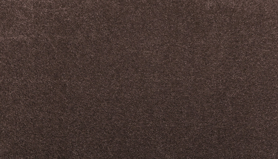 Close-up of Noble Surface Pet Friendly Carpet in Dark Fudge, featuring a brown, soft, even surface with a durable, stain-resistant texture and no visible patterns.