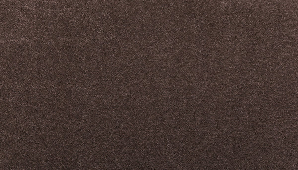 Close-up of Noble Surface Pet Friendly Carpet in Dark Fudge, featuring a brown, soft, even surface with a durable, stain-resistant texture and no visible patterns.