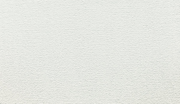 Close-up of Noble Surface Pet Friendly Carpet in Glacier color, showing a subtly textured, slightly rough and uneven surface—resembling the durability and feel of finely patterned carpet.