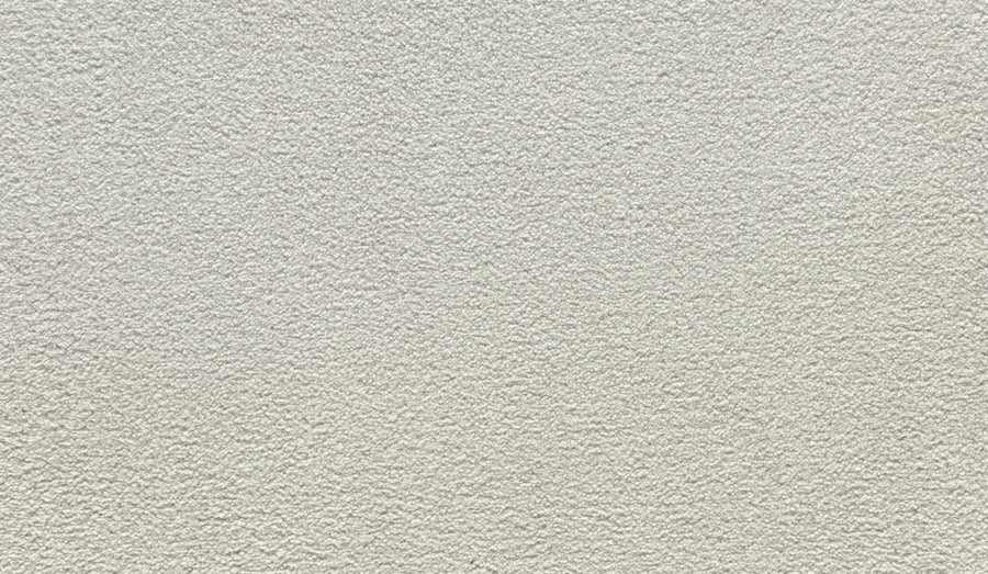 Close-up of Noble Surface Pet Friendly Carpet in Ice Fox shows a light beige, textured surface with a slightly rough, granular look.