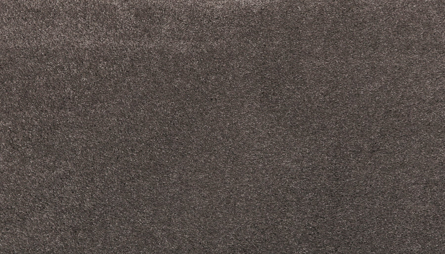 Close-up of Noble Surface Pet Friendly Carpet in Harmony—a dark gray, stain-resistant carpet featuring a soft, plush surface and subtly uneven, textured fibers.
