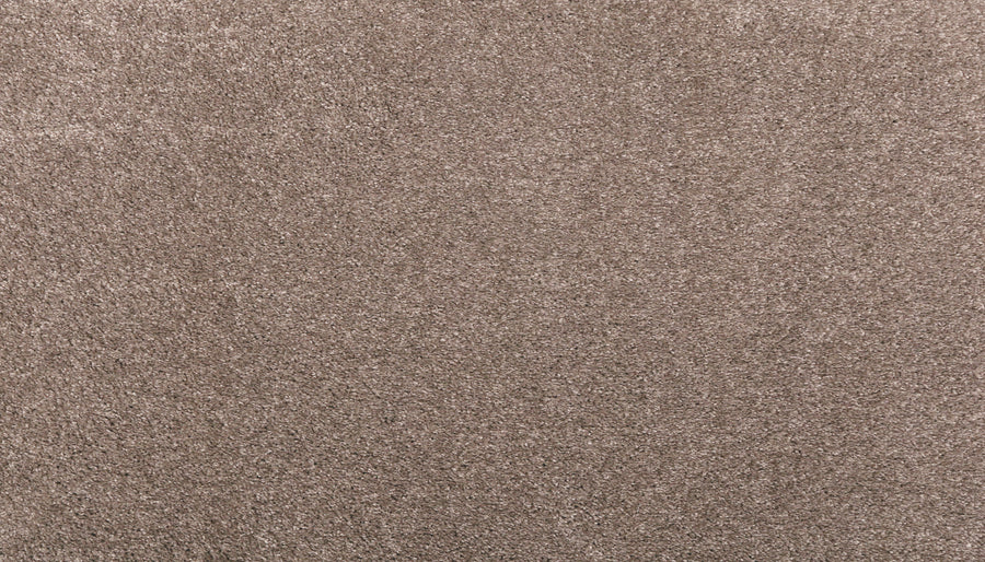 Close-up of the Noble Surface Pet Friendly Carpet in Moonrock, featuring a soft, textured surface and dense fibers with subtle color variation—designed for lasting comfort and durability.