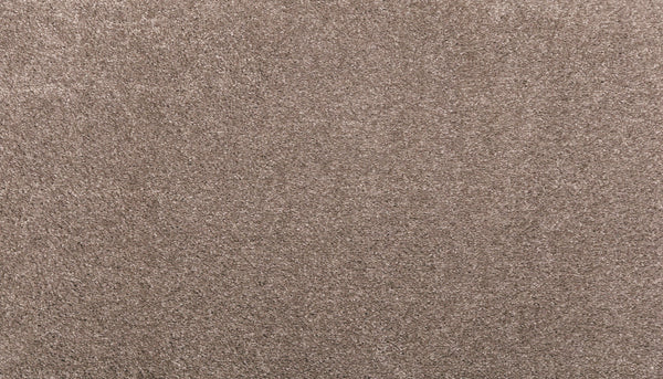 Close-up of the Noble Surface Pet Friendly Carpet in Moonrock, featuring a soft, textured surface and dense fibers with subtle color variation—designed for lasting comfort and durability.