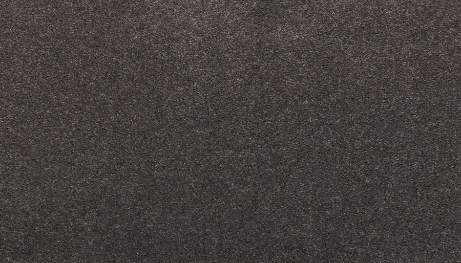 Close-up of Noble Surface Pet Friendly Carpet in Nocturne color, featuring a soft, textured surface and dense, uniform fibers that create a plush, cozy look perfect for homes with pets.
