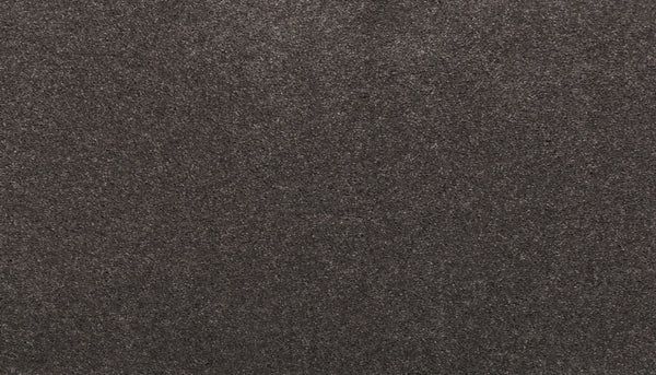 Close-up of Noble Surface Pet Friendly Carpet in Nocturne color, featuring a soft, textured surface and dense, uniform fibers that create a plush, cozy look perfect for homes with pets.