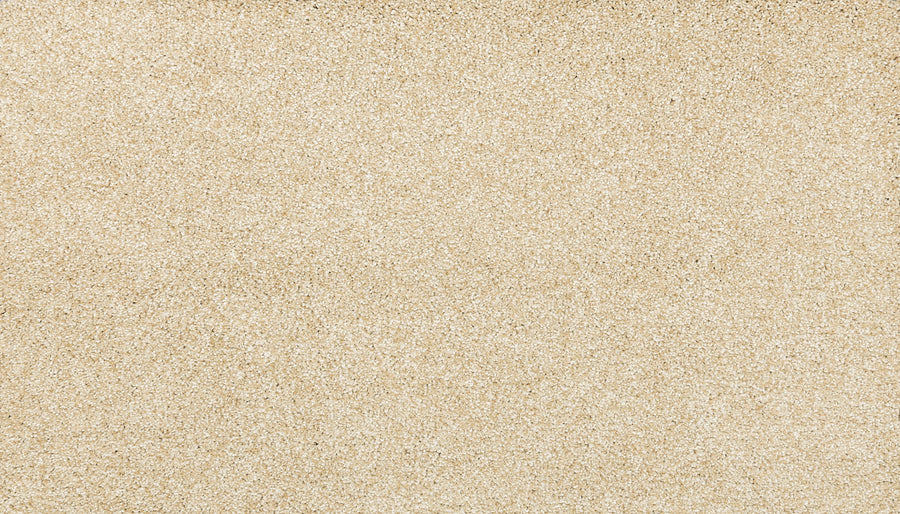 A close-up of Noble Tone Pet Friendly Carpet in Honey Cream, featuring smooth, fine fibers and a light beige color with a slightly textured, stain-resistant finish.