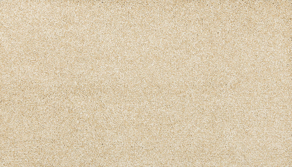 A close-up of Noble Tone Pet Friendly Carpet in Honey Cream, featuring smooth, fine fibers and a light beige color with a slightly textured, stain-resistant finish.