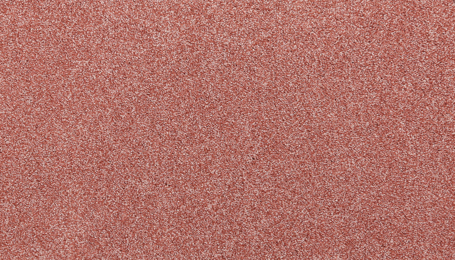 Close-up view of the Noble Tone Pet Friendly Carpet in Cool Blush, showing its textured, grainy surface with tiny specks and an uneven pattern that resembles durable carpet fibers.