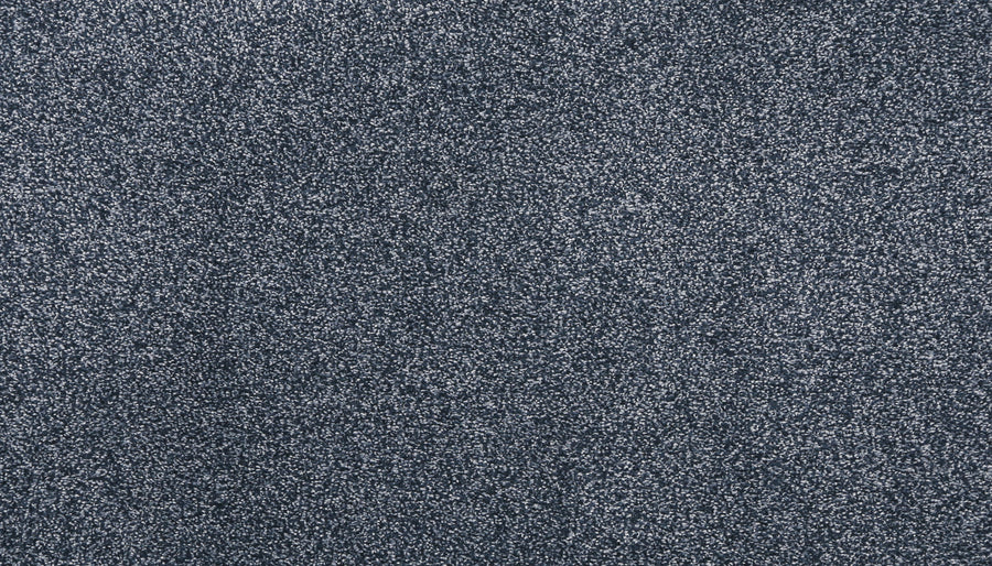 Close-up view of Noble Tone Pet Friendly Carpet in Denim, showcasing a textured stain-resistant surface with blended light and dark specks—ideal for stylish, durable homes.