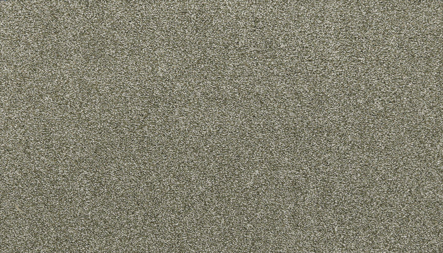 A close-up of Noble Tone Pet Friendly Carpet in Sage shows fine, evenly scattered fibers with a soft texture and gentle sparkle, resembling resilient sand grains and offering durable, stain-resistant performance.