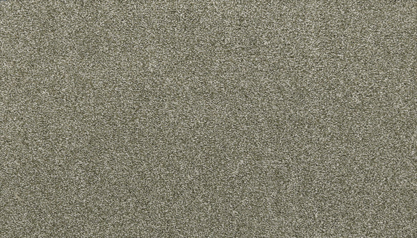 A close-up of Noble Tone Pet Friendly Carpet in Sage shows fine, evenly scattered fibers with a soft texture and gentle sparkle, resembling resilient sand grains and offering durable, stain-resistant performance.