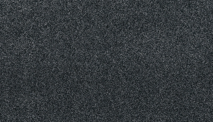 Close-up of Noble Tone Pet Friendly Carpet in Ocean Jewel color, featuring a dark gray, stain-resistant surface with a slightly speckled pattern. Dense, soft fibers create a plush, durable, and pet-friendly appearance.