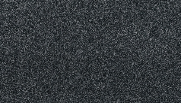 Close-up of Noble Tone Pet Friendly Carpet in Ocean Jewel color, featuring a dark gray, stain-resistant surface with a slightly speckled pattern. Dense, soft fibers create a plush, durable, and pet-friendly appearance.