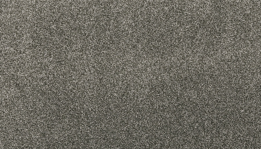 A close-up view of the Noble Tone Pet Friendly Carpet in Inverness color, featuring a black and white textured, grainy pattern with countless tiny dots—similar to television static or visual snow.