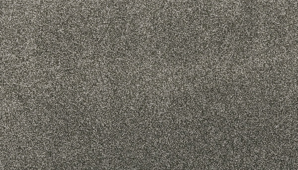 A close-up view of the Noble Tone Pet Friendly Carpet in Inverness color, featuring a black and white textured, grainy pattern with countless tiny dots—similar to television static or visual snow.