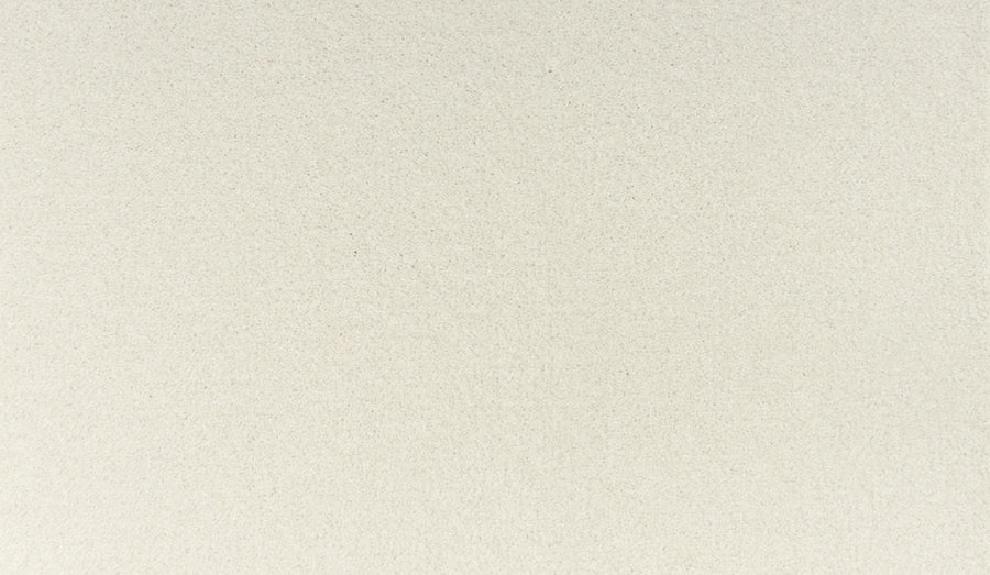 A close-up of Noble Tone Pet Friendly Carpet in Rococo shows its smooth, light beige surface with a fine texture—perfect for adding style and durability to any space.