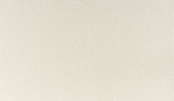 A close-up of Noble Tone Pet Friendly Carpet in Rococo shows its smooth, light beige surface with a fine texture—perfect for adding style and durability to any space.