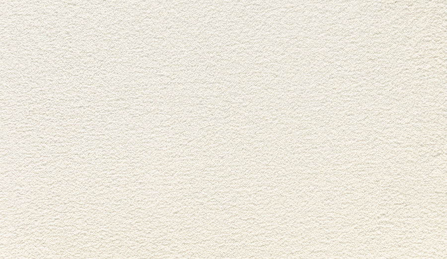 Close-up of Noble Tone Pet Friendly Carpet in White Linen, showing a uniform, textured surface with a subtle pattern of small, uneven bumps.