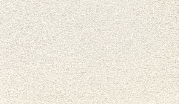 Close-up of Noble Tone Pet Friendly Carpet in White Linen, showing a uniform, textured surface with a subtle pattern of small, uneven bumps.
