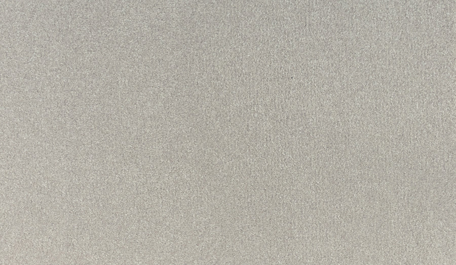 Close-up of Noble Tone Pet Friendly Carpet in Almond Shell, featuring a smooth textured surface with a subtle, even pattern—an ideal pet friendly carpet solution.