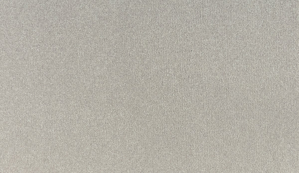 Close-up of Noble Tone Pet Friendly Carpet in Almond Shell, featuring a smooth textured surface with a subtle, even pattern—an ideal pet friendly carpet solution.