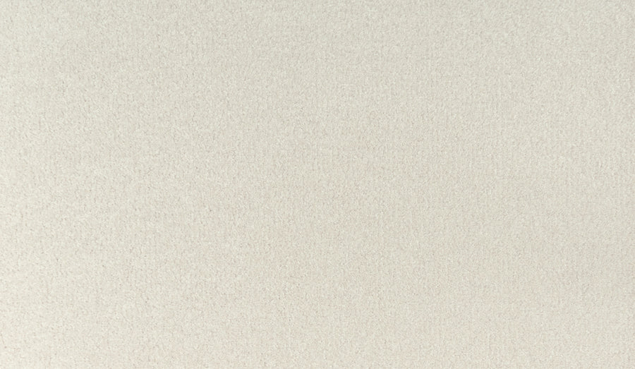 A close-up of Noble Tone Pet Friendly Carpet in Cameo Stone color shows its smooth, stain-resistant, light beige surface with a soft, even texture and no visible patterns.