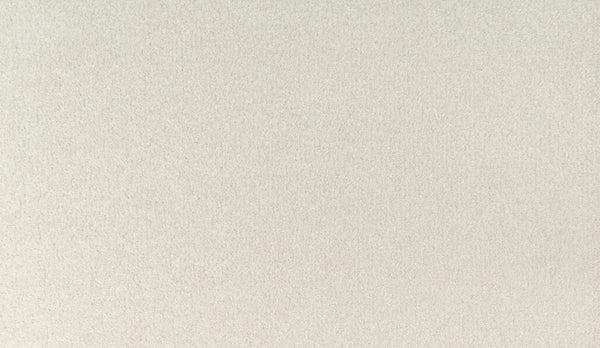 A close-up of Noble Tone Pet Friendly Carpet in Cameo Stone color shows its smooth, stain-resistant, light beige surface with a soft, even texture and no visible patterns.