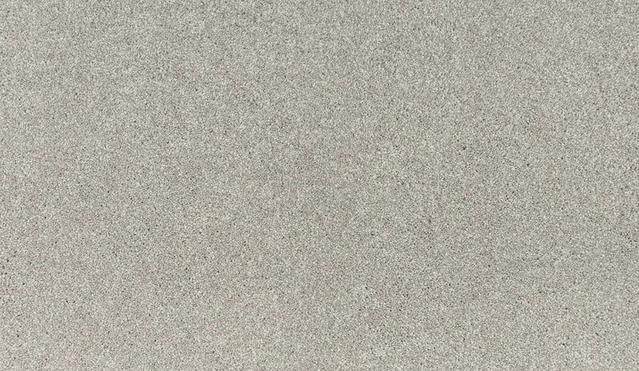 Close-up of Noble Tone Pet Friendly Carpet in Quiet Light—a textured gray surface with a uniform, slightly speckled look reminiscent of fine sandpaper or concrete, offering a stain-resistant finish ideal for pet owners.