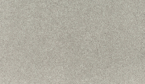 Close-up of Noble Tone Pet Friendly Carpet in Quiet Light—a textured gray surface with a uniform, slightly speckled look reminiscent of fine sandpaper or concrete, offering a stain-resistant finish ideal for pet owners.
