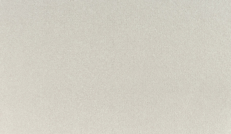 A close-up view of the Noble Tone Pet Friendly Carpet in Old Lace color, featuring a smooth, light gray textured surface with a soft and uniform appearance.