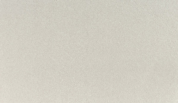A close-up view of the Noble Tone Pet Friendly Carpet in Old Lace color, featuring a smooth, light gray textured surface with a soft and uniform appearance.