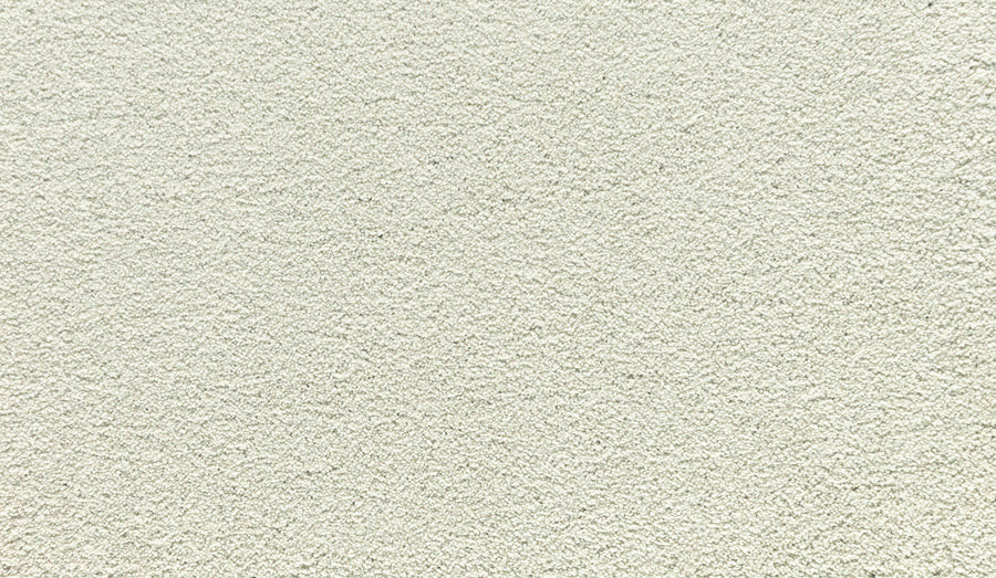 Close-up of a textured, off-white surface with a rough, grainy finish and small bumps—reminiscent of the durability you'd expect from Noble Tone Pet Friendly Carpet in Pearl Essence.