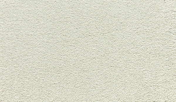 Close-up of a textured, off-white surface with a rough, grainy finish and small bumps—reminiscent of the durability you'd expect from Noble Tone Pet Friendly Carpet in Pearl Essence.