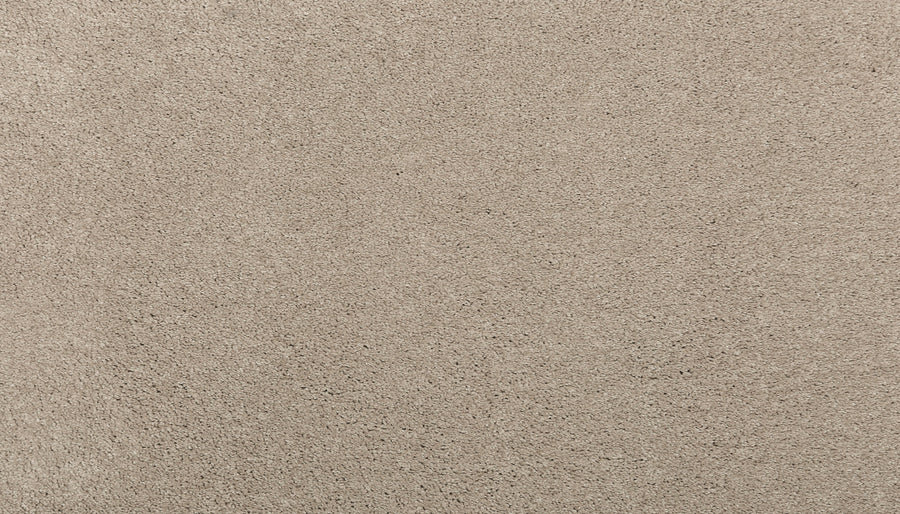 Close-up view of the textured Twine color surface of Noble Tone Pet Friendly Carpet, showing small grains and subtle patterns for a durable, pet-friendly look.