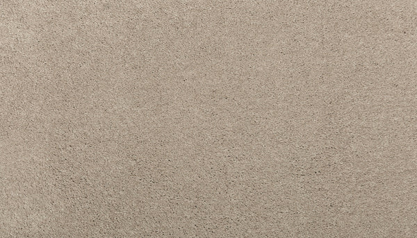 Close-up view of the textured Twine color surface of Noble Tone Pet Friendly Carpet, showing small grains and subtle patterns for a durable, pet-friendly look.