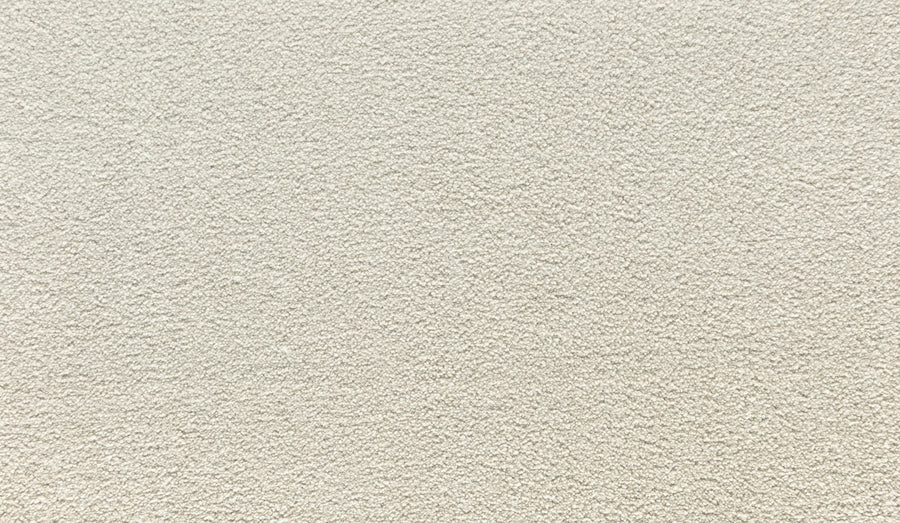 Close-up of Noble Tone Pet Friendly Carpet in Buffed—a light beige, textured, stain-resistant surface with a soft, slightly rough feel. The image highlights the uniform pattern and durable carpet fibers.
