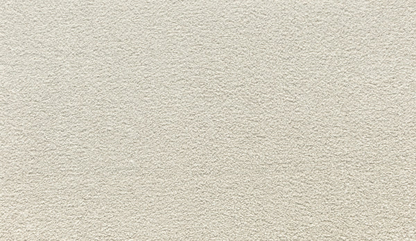 Close-up of Noble Tone Pet Friendly Carpet in Buffed—a light beige, textured, stain-resistant surface with a soft, slightly rough feel. The image highlights the uniform pattern and durable carpet fibers.