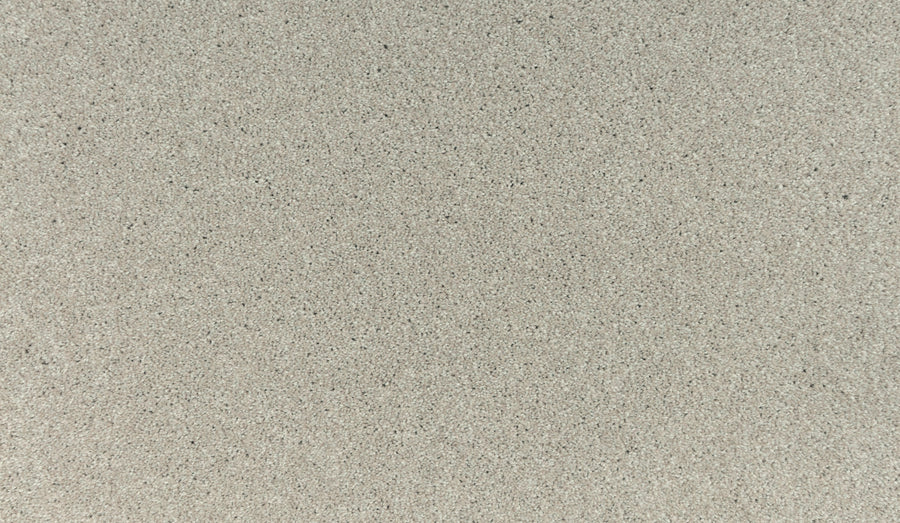 Close-up of Noble Tone Pet Friendly Carpet in Linen Lace shows a smooth, even surface with fine, light-colored fibers and subtle specks—offering a durable, pet-friendly texture that resists daily wear and adds natural detail.