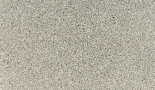Close-up of Noble Tone Pet Friendly Carpet in Linen Lace shows a smooth, even surface with fine, light-colored fibers and subtle specks—offering a durable, pet-friendly texture that resists daily wear and adds natural detail.