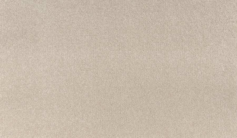 A close-up of Noble Tone Pet Friendly Carpet in Scroll color, featuring a soft, even texture and subtle pattern—ideal for homes seeking stylish, stain-resistant durability.