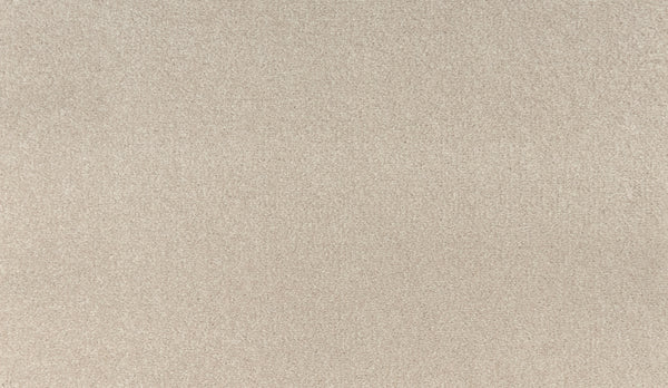 A close-up of Noble Tone Pet Friendly Carpet in Scroll color, featuring a soft, even texture and subtle pattern—ideal for homes seeking stylish, stain-resistant durability.