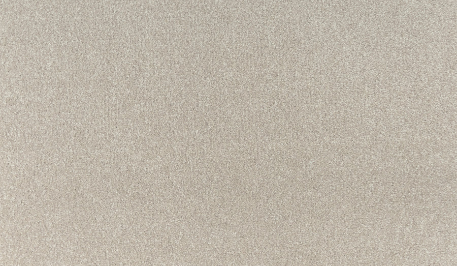 Close-up of Noble Tone Pet Friendly Carpet in Beachfront color, featuring a light beige, stain-resistant surface with a soft, even texture. Durable and easy to clean—ideal for busy homes or those with pets.