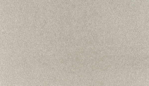 Close-up of Noble Tone Pet Friendly Carpet in Beachfront color, featuring a light beige, stain-resistant surface with a soft, even texture. Durable and easy to clean—ideal for busy homes or those with pets.