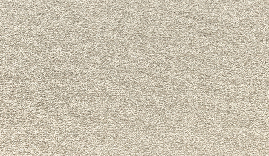 Close-up view of Noble Tone Pet Friendly Carpet in Shorescape, featuring a textured, beige surface with a rough, grainy appearance and subtle shading variations—durable, pet friendly, and stain-resistant.
