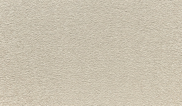 Close-up view of Noble Tone Pet Friendly Carpet in Shorescape, featuring a textured, beige surface with a rough, grainy appearance and subtle shading variations—durable, pet friendly, and stain-resistant.