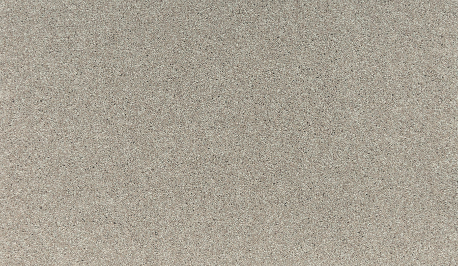 Close-up of the Noble Tone Pet Friendly Carpet in Outer Banks color, showing its fine, light brown texture and subtle variations for lasting comfort.