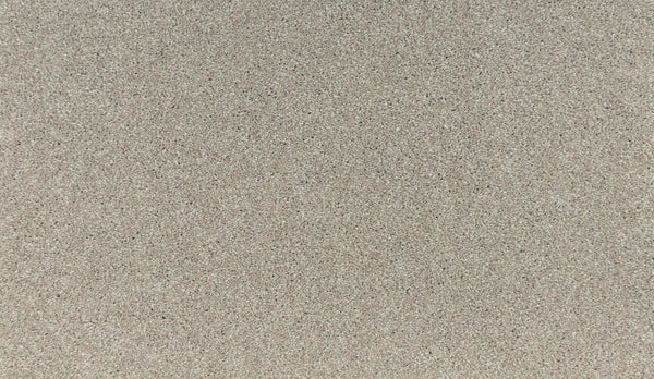 Close-up of the Noble Tone Pet Friendly Carpet in Outer Banks color, showing its fine, light brown texture and subtle variations for lasting comfort.