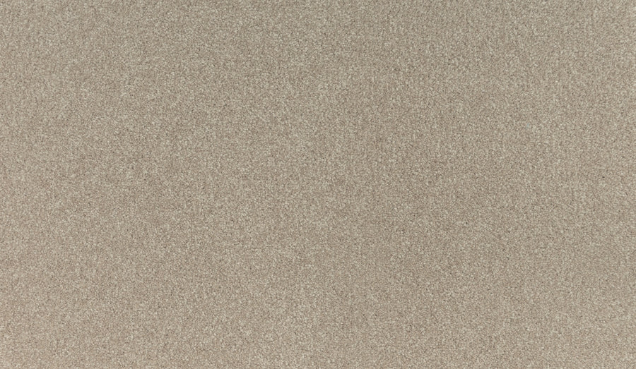 A close-up of Noble Tone Pet Friendly Carpet in Haven shows a smooth, fine, light brown texture—perfect for those seeking a stylish and functional pet-friendly carpet.