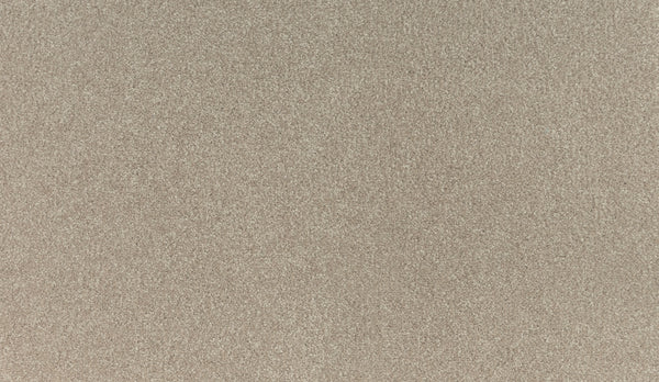 A close-up of Noble Tone Pet Friendly Carpet in Haven shows a smooth, fine, light brown texture—perfect for those seeking a stylish and functional pet-friendly carpet.